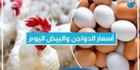 أسعار
      الدواجن
      والبيض
      اليوم السبت
      28-12-2024 بمحافظة
      البحيرة