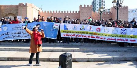 احتجاج
      يرفض
      "قانون
      الإضراب"