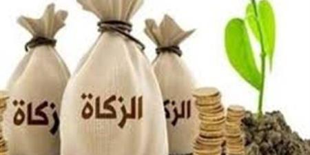 قيمة
      زكاة
      الفطر
      2025..
      دار
      الإفتاء
  ...