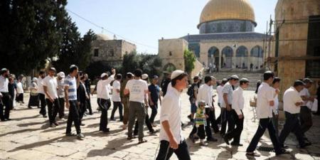 إعلام
      فلسطيني:
      مجموعات
      المستوطنين
      ...