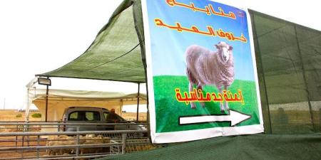 رصيف
      الصحافة:
      التوجيه
      بعدم
      ذبح
      الأضاحي
      ..
      تضامن
      بلا
      إلزام
      قانوني