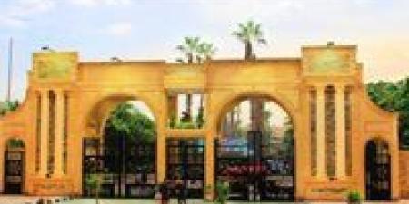 جامعة
      المنصورة
      تعلن
      عن
      وظائف
      ...