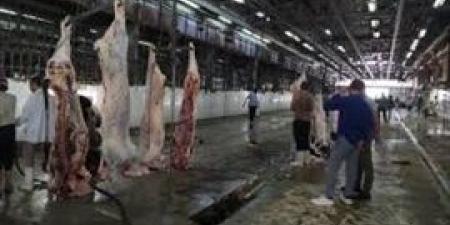 استمرار
      فتح
      المجازر
      بكفر
      الشيخ
      لاسقبال
      الأضاحي
      خلال
      أيام
      عيد
      الأضحى
      المبارك