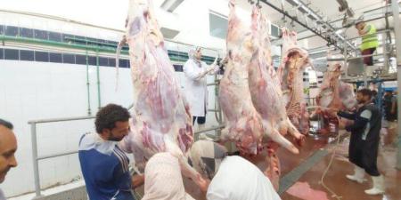 انتظام
      العمل
      بمجازر
      البحر
      الأحمر
      فى
      ثانى
      أيام
      عيد
      الأضحى
      المبارك