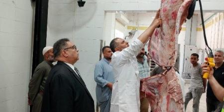 المجازر الحكومية تواصل أعمال الكشف وذبح الأضاحي على مدار اليوم