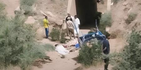 مصرع
      7
      أشخاص
      في
      انقلاب
      تريبورتور