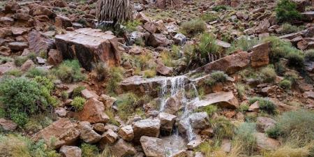 تساقطات
      محدودة
      بمناطق
      مغربية
