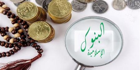 6
      فروق
      جوهرية
      بين
      الخدمات
      ...
