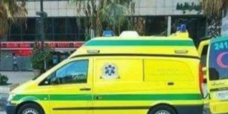 سوهاج..إصابة
      سائق
      بطلق
      خرطوش
      بالعسيرات