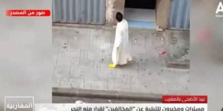 "مراقب دخان بولفاف".. فيديو كوميدي حولته مواقع جزائرية إلى مادة إعلامية