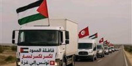 لماذا
      ترفض
      مصر
      دخول
      قافلة
      الصمود؟..
      خبير
      استراتيجي
      يوضح