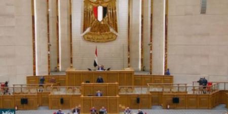 مجلس النواب يوافق على قانون تنظيم ملكية الدولة في الشركات المملوكة لها مبدئيا