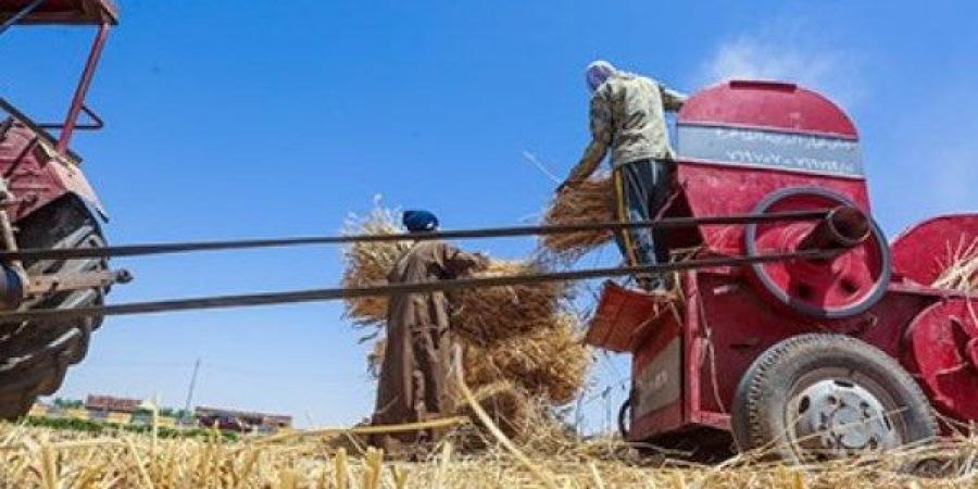 فقد زراعه على دراسة القش.. إصابة مزارع ببتر زراعة أثناء العمل بالدقهلية