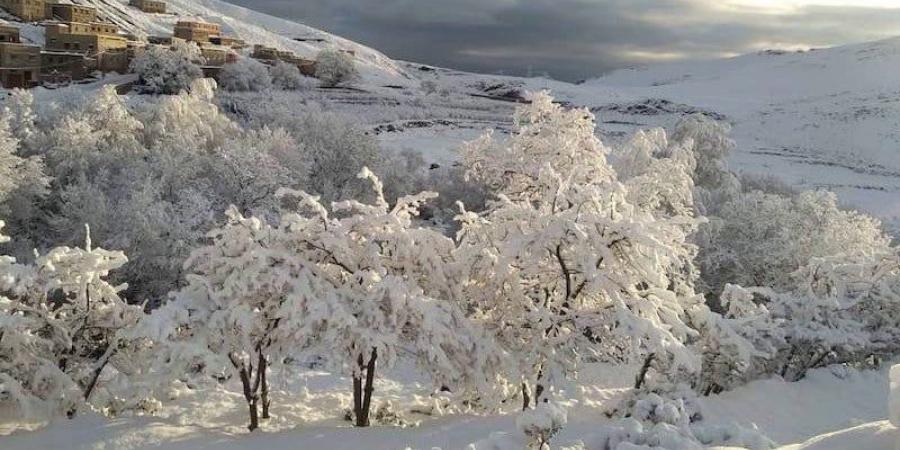 الثلوج
      تكسو
      مرتفعات
      إقليم
      ورزازات
      ..
      مناظر
      خلابة
      تخفي
      "معركة
      البقاء"