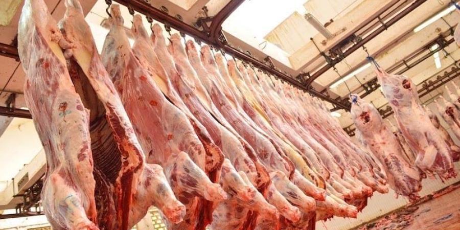 الاستيراد
      يضخ
      1500
      طن
      من
      لحوم
      الأبقار
      البرازيلية
      في
      أسواق
      المغرب