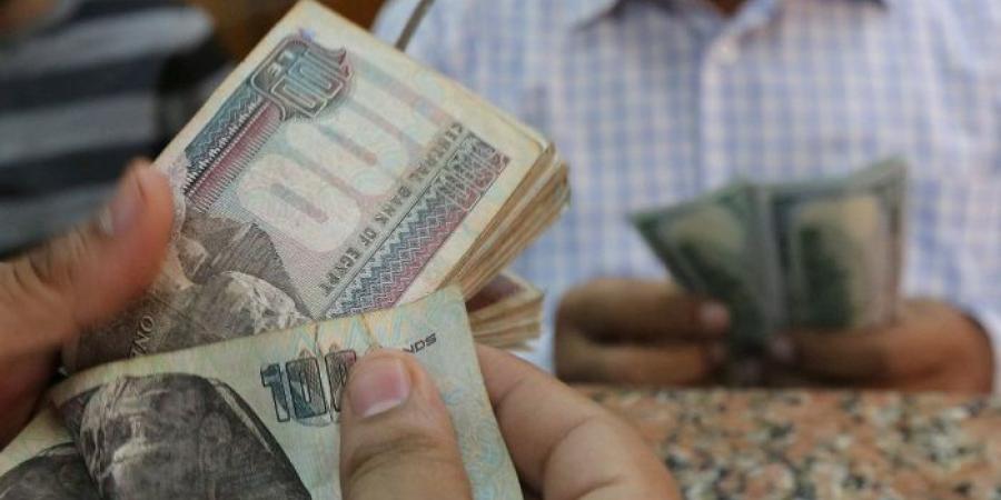 الهبوط الكبير، سعر الدولار مقابل الجنيه المصري اليوم الثلاثاء 7يناير