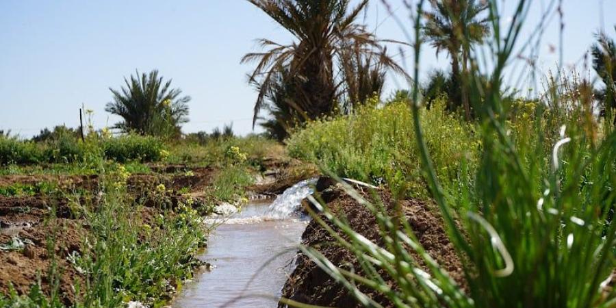 هل
      يراجع
      المغرب
      تدابير
      التقشف
      المائي
      بعد
      تساقطات
      مطرية
      هامة؟