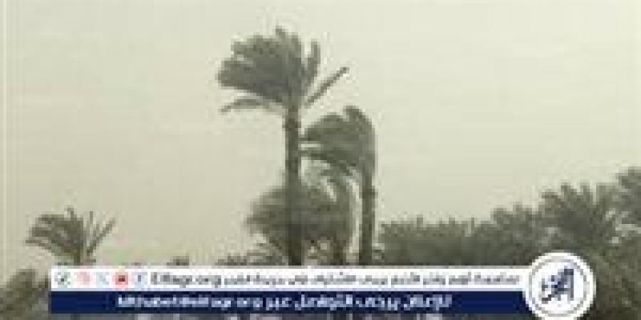 الأرصاد
      تحذر..
      رياح
      نشطة
      وأتربة
      مثارة
      اليوم
      الجمعة
      2-5-2025