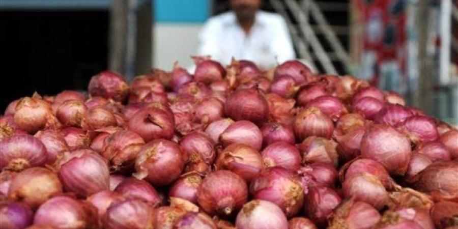 قنطار
      البصل..
      كم
      كيلو
      جرامًا
      يساوي؟