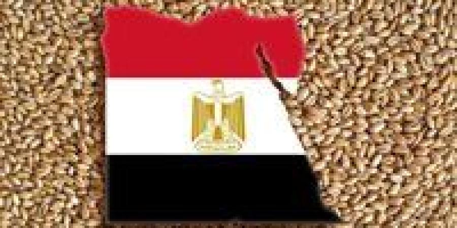 مصر
      تُنوّع
      مصادر
      استيراد
      القمح
      بسبب
      المخاطر
      الجيوسياسية