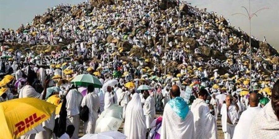 هل
      يجب
      صعود
      جبل
      عرفات
      في
      الحج؟..
      «الإفتاء»
      تحذر