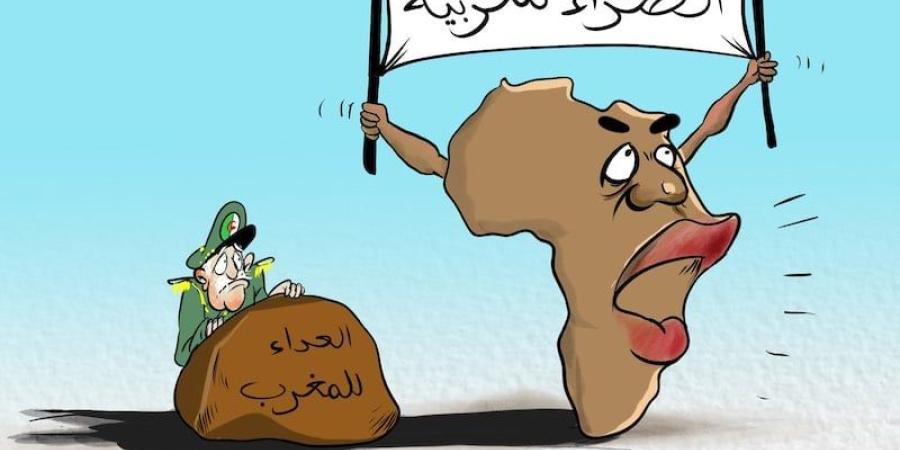 إفريقيا
      تصدم
      المتربصين