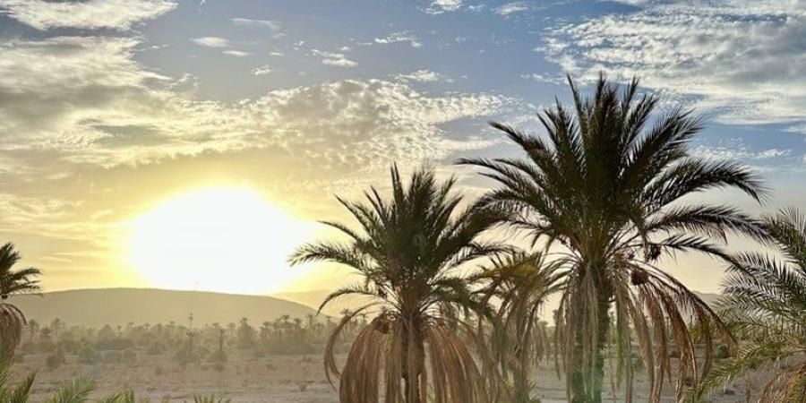 توقعات
      طقس
      اليوم
      الجمعة
      بالمغرب