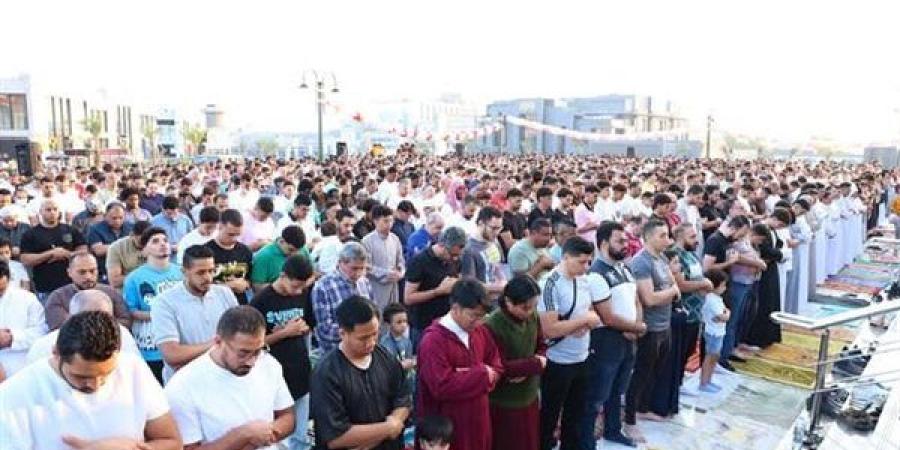المحافظون
      ونوابهم
      يشهدون
      صلاة
      عيد
   ...