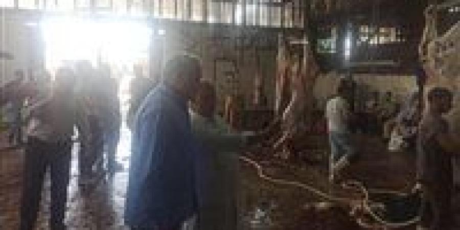 الذبيح
      بالمجان..
      المجازر
      تستقبل
      ...