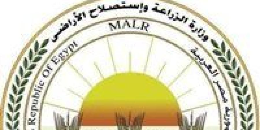 الذبيح
      بالمجان..
      الزراعة:
      المجازر
      الحكومية
      تستقبل
      أكثر
      من
      9800
      أضحية
      خلال
      أول
      أيام
      العيد