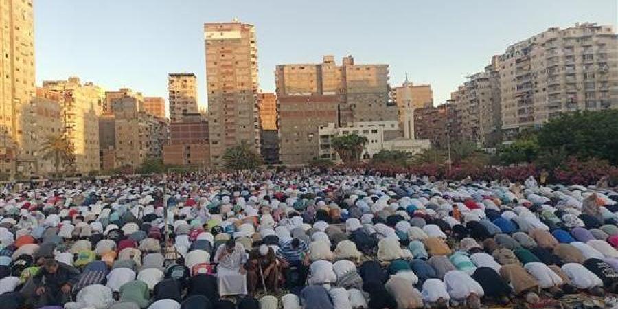 الإسكندرية
      تحتفل
      بعيد
      الأضحى
      وسط
     ...