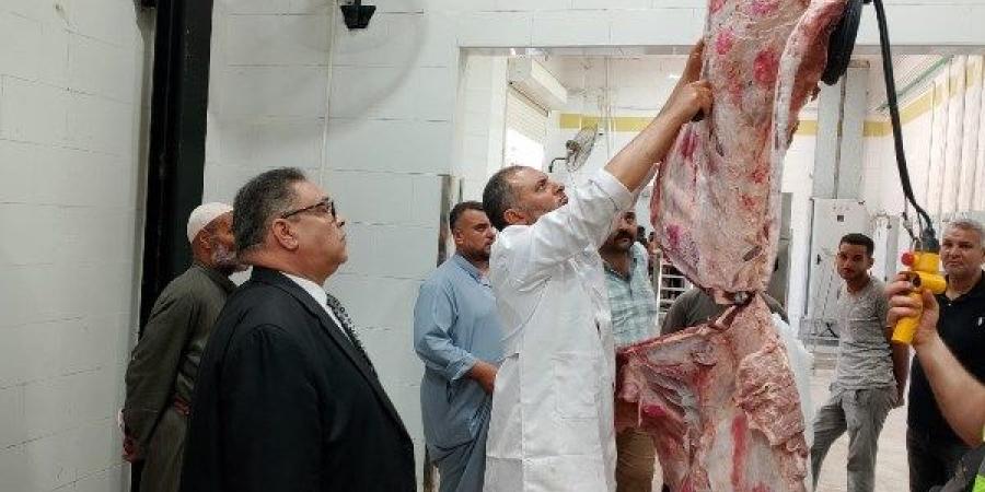 المجازر الحكومية تواصل أعمال الكشف وذبح الأضاحي على مدار اليوم