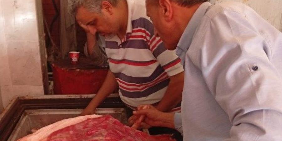 ضبط 1670كيلو لحوم ودجاج مخالفة للمواصفات بالدقهلية