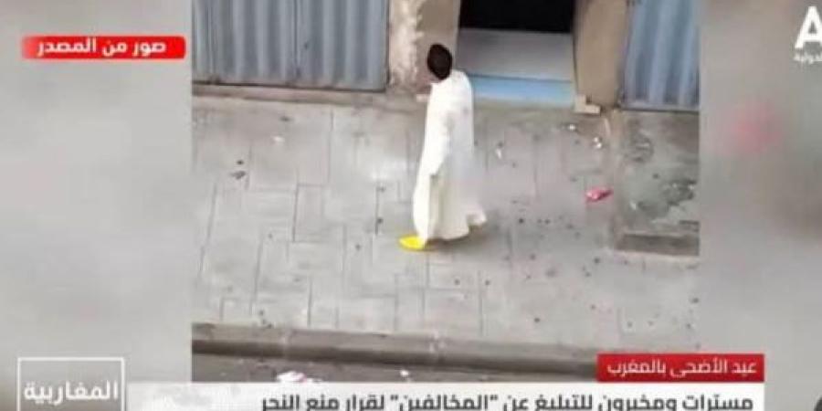 "مراقب دخان بولفاف".. فيديو كوميدي حولته مواقع جزائرية إلى مادة إعلامية