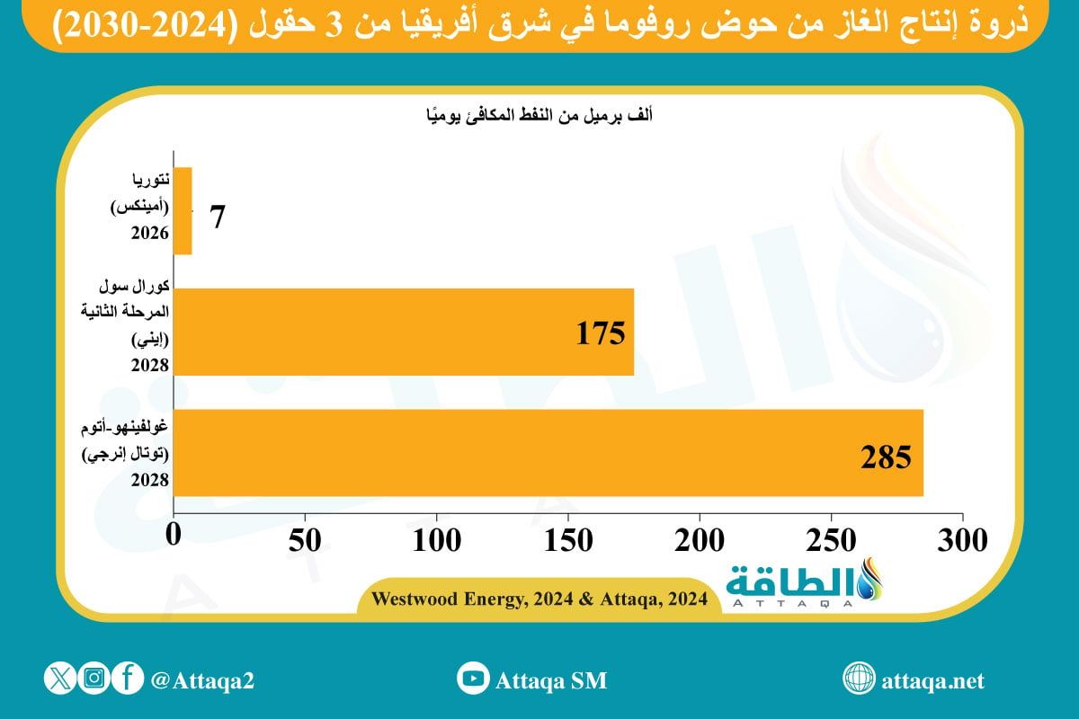 إنتاج الغاز من حوض روفوما في شرق أفريقيا