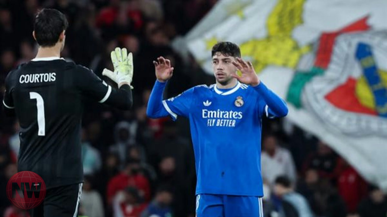 يويفا يحسم الجدل حول فالفيردي ويؤكد عدم معاقبته بعد شكوى بنفيكا