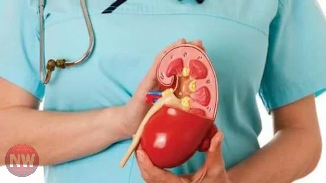 نصائح لمرضى الكلى والضغط: التخلص من الأملاح الزائدة في رمضان 2026