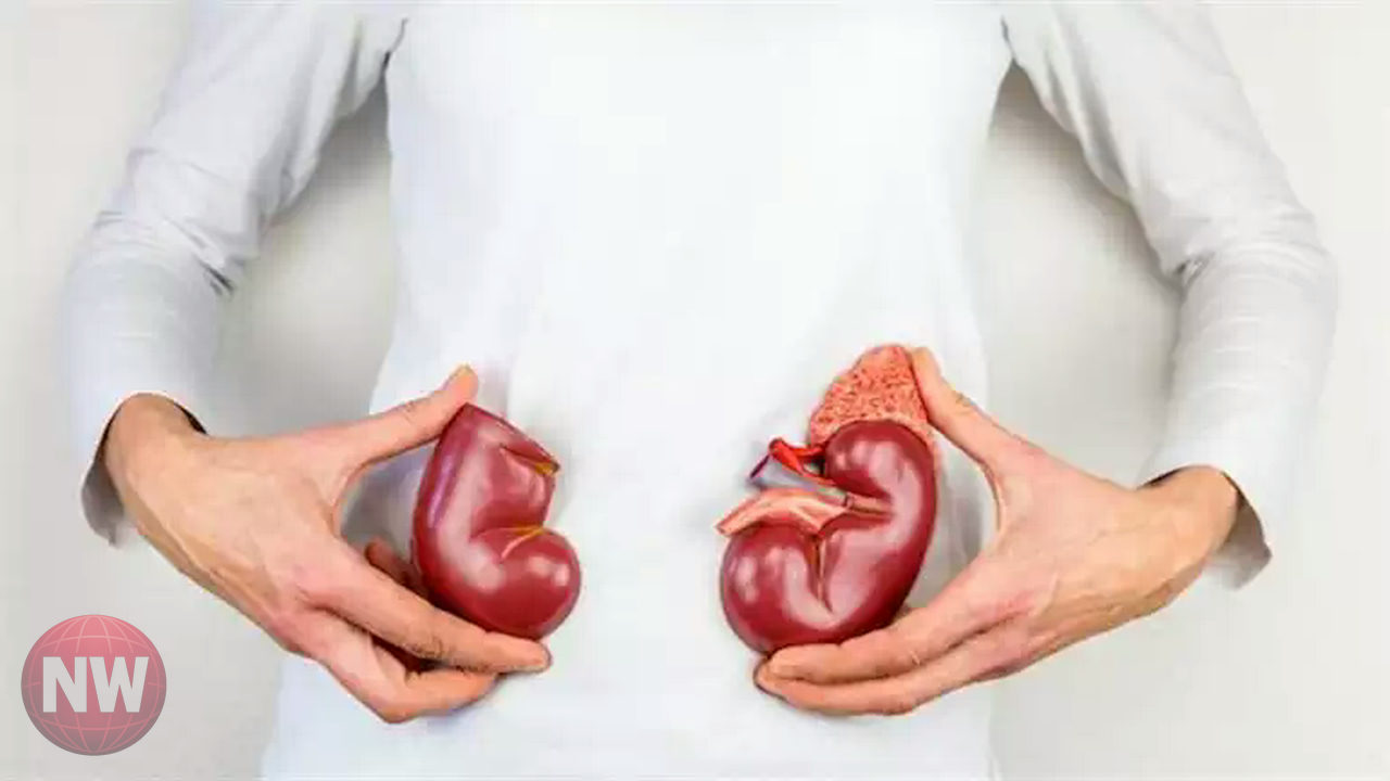 خبيرة تغذية تحذر من أخطاء شائعة تهدد الكلى في رمضان