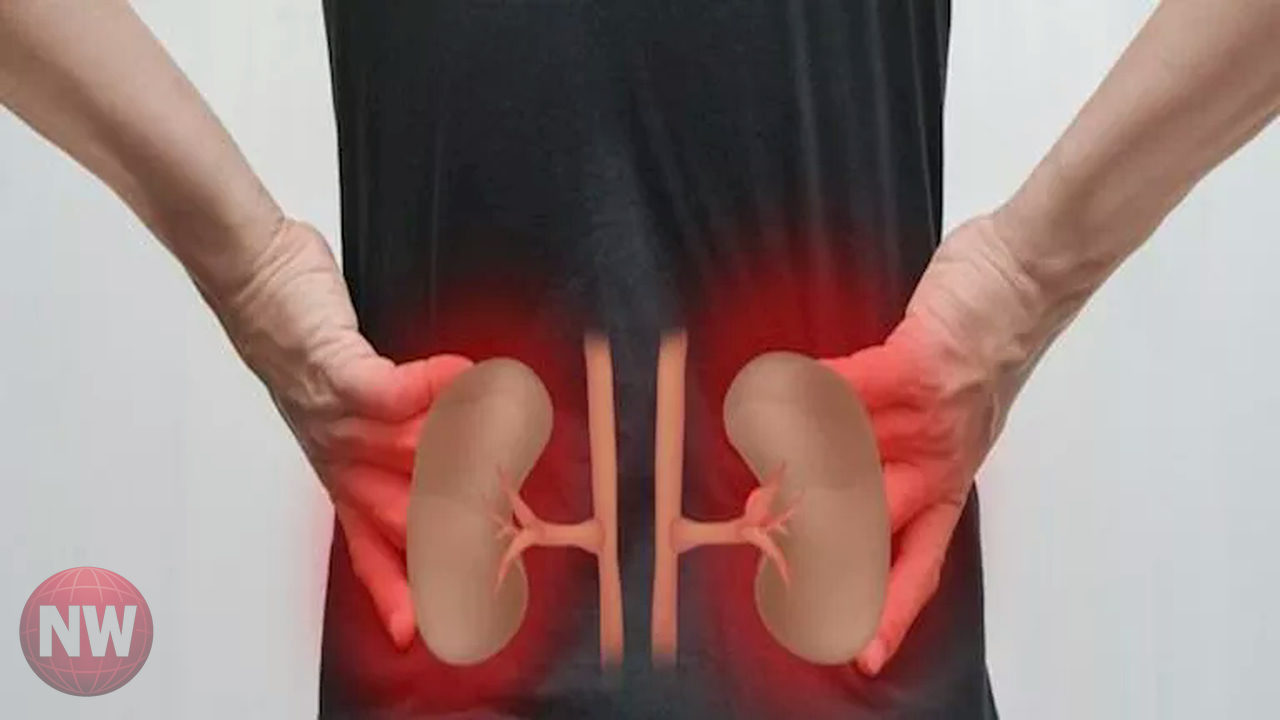 مشروبات شائعة تزيد خطر حصوات الكلى: الغازيات والشاي والقهوة أبرزها