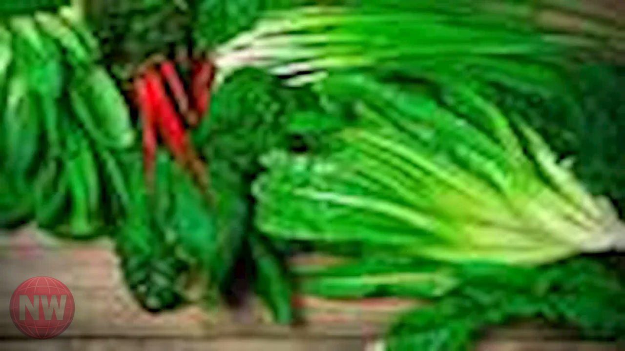 الخضروات الورقية: حليف الدماغ للحفاظ على التركيز والذاكرة في رمضان