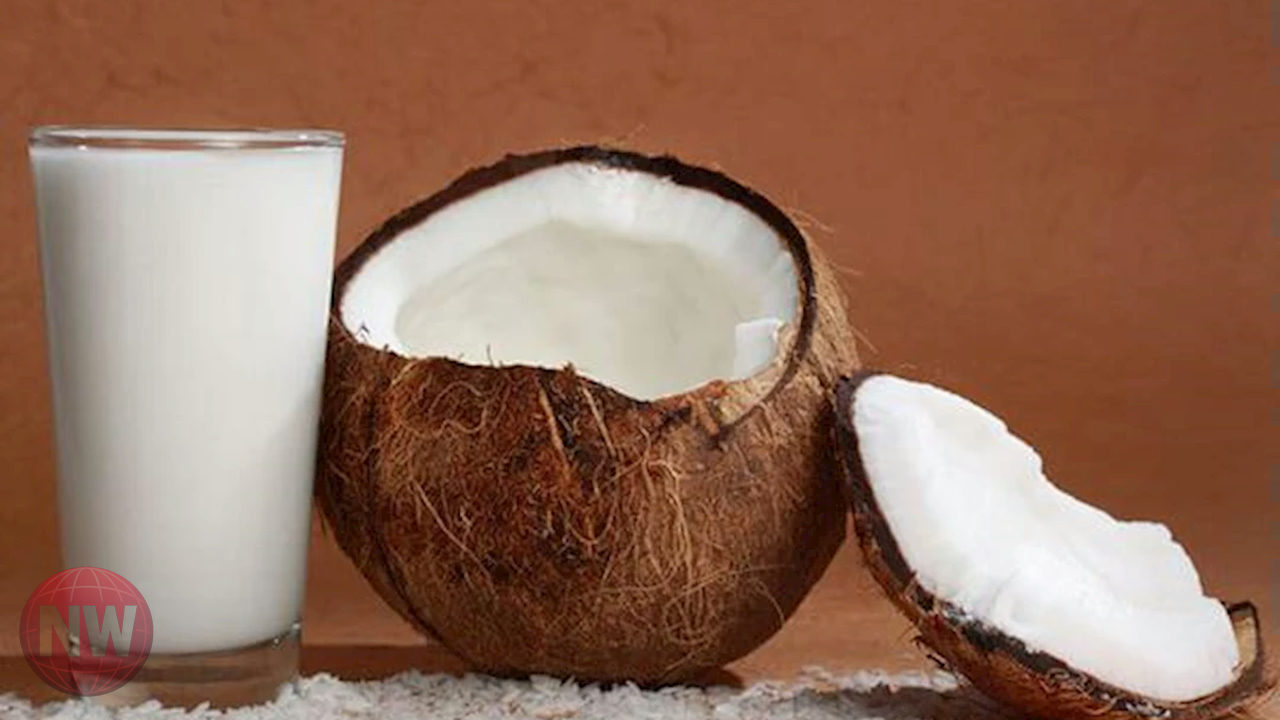 فوائد صحية للسوبيا في رمضان: دعم القلب والهضم وتقوية العظام