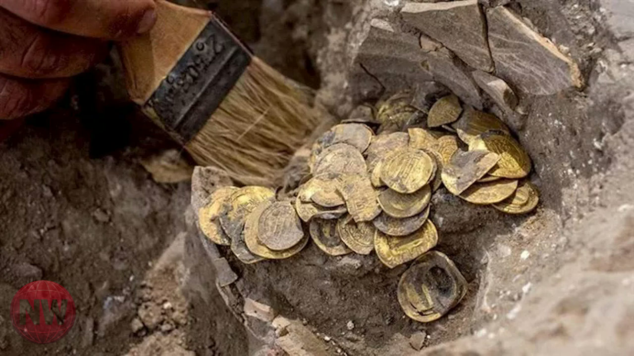 نيوزيلندا: أسماك المياه العذبة تقود العلماء لاكتشافات ذهب جديدة