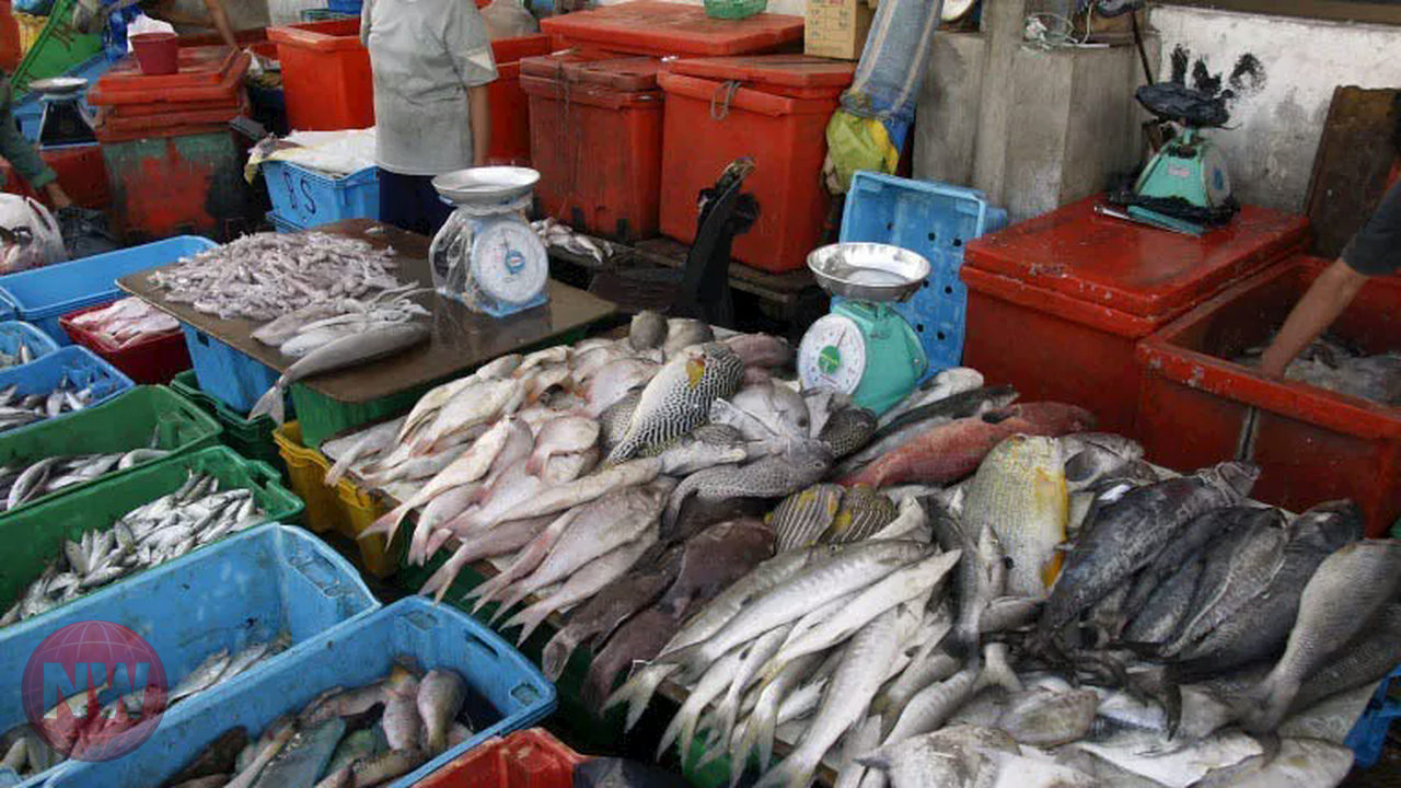أسعار الأسماك مستقرة رغم زيادة الوقود.. وتوقعات بارتفاع 30% قبل العيد