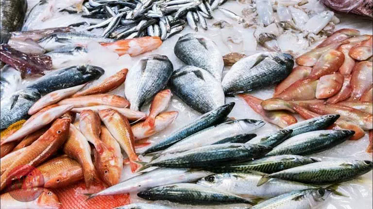 أسعار السمك والجمبري والمكرونة تشهد ارتفاعات في سوق العبور اليوم