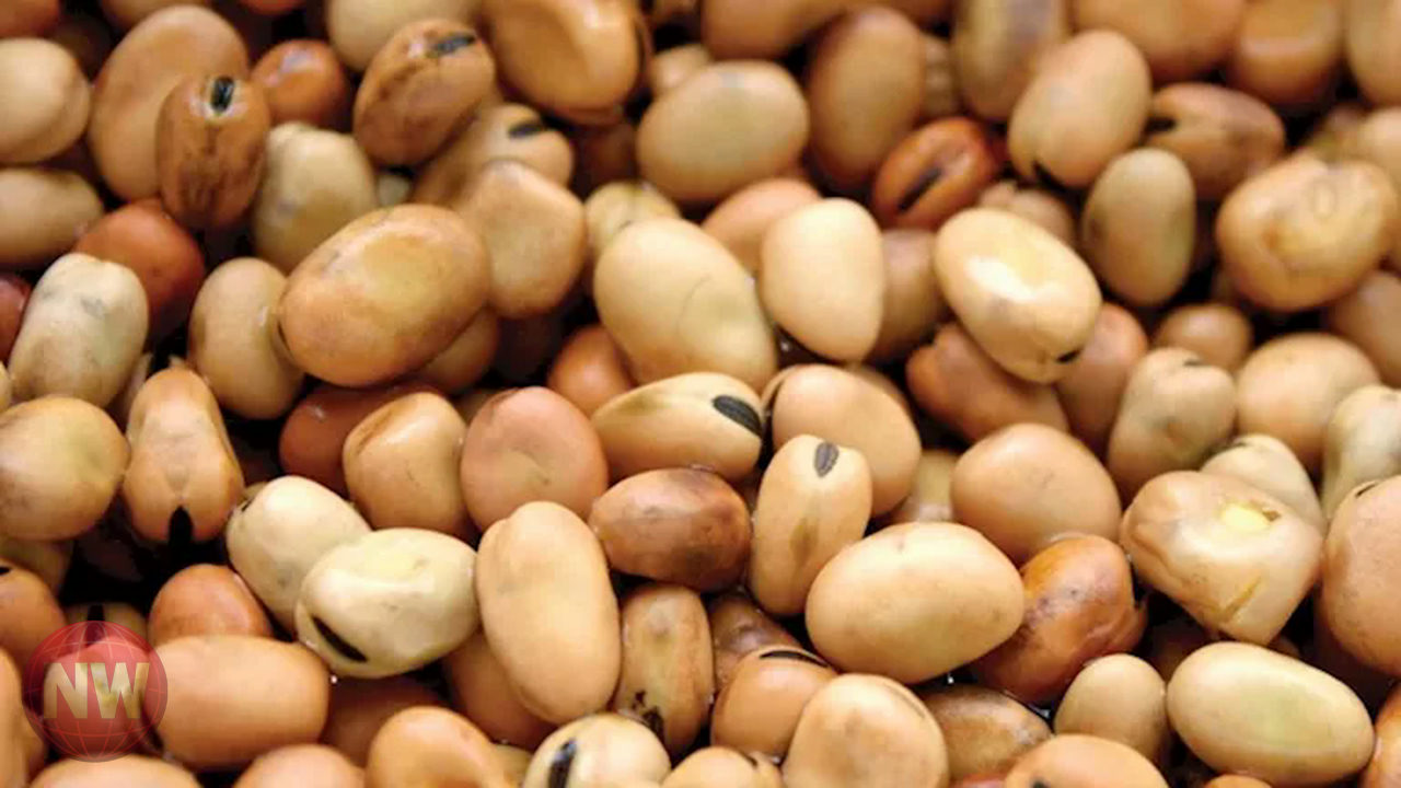 أسعار السلع الغذائية الأساسية في مصر 26 مارس 2026: ارتفاع الفول والعدس