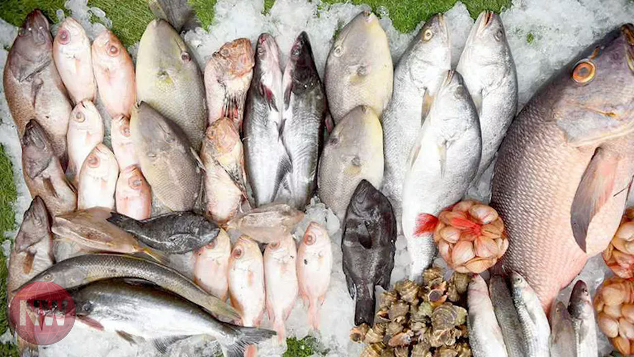 أسعار الأسماك اليوم في سوق العبور 26 مارس 2026: ارتفاع ملحوظ في أسعار الكابوريا والبلطي