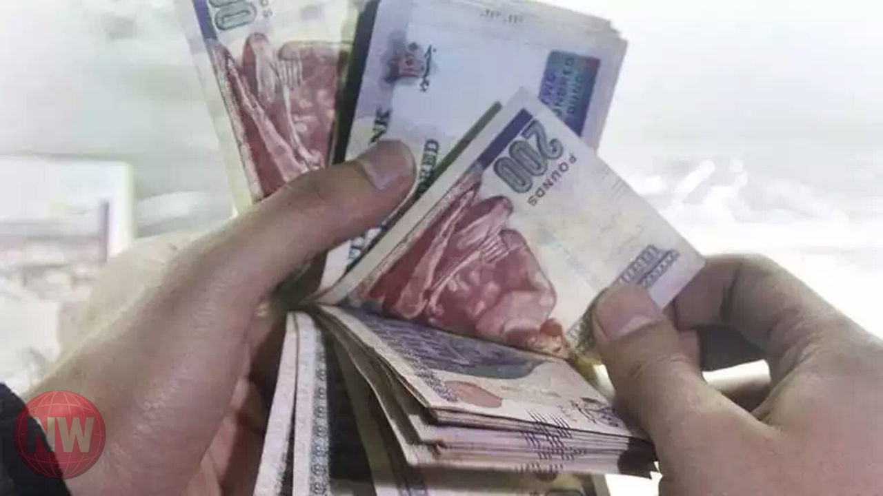 التأمينات الاجتماعية تحدد فئات لا تستحق معاشات أبريل 2026