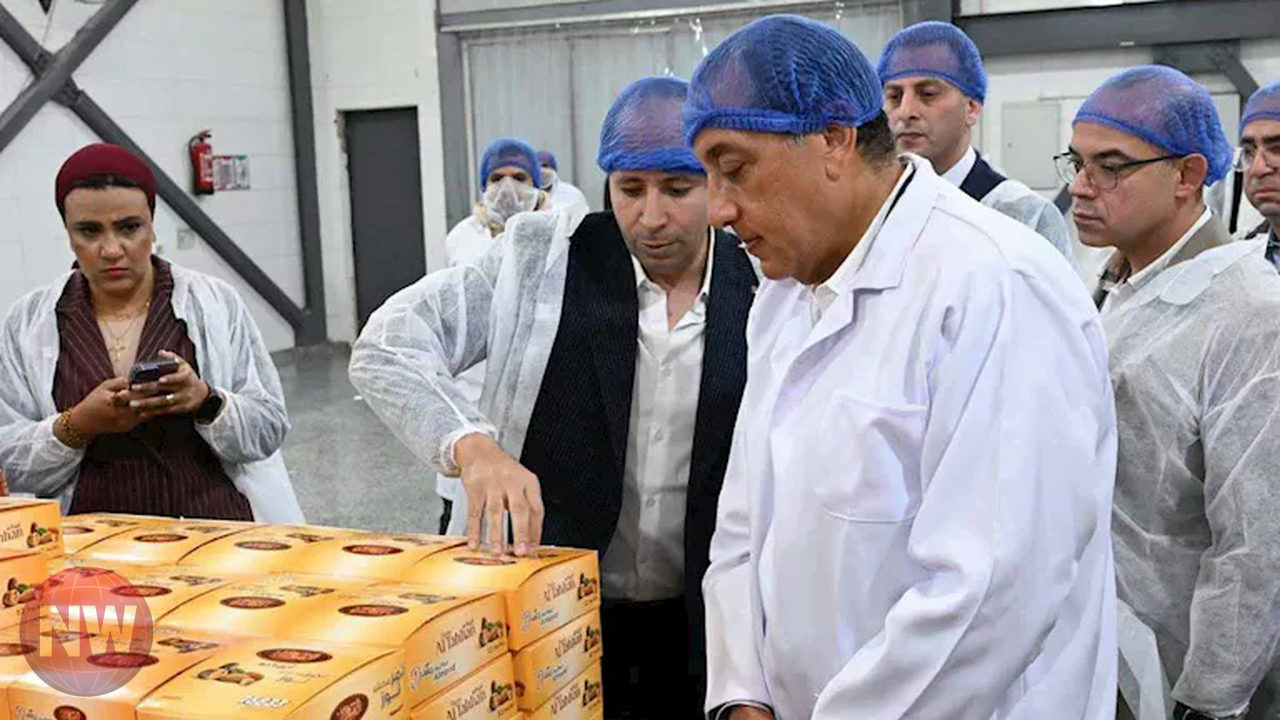 وزير مصري يؤكد فرص تصدير التمور المصرية الواعدة عالمياً