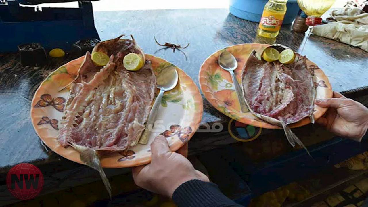 أسعار الرنجة والفسيخ تتفاوت قبيل شم النسيم.. تعرف على الأرقام