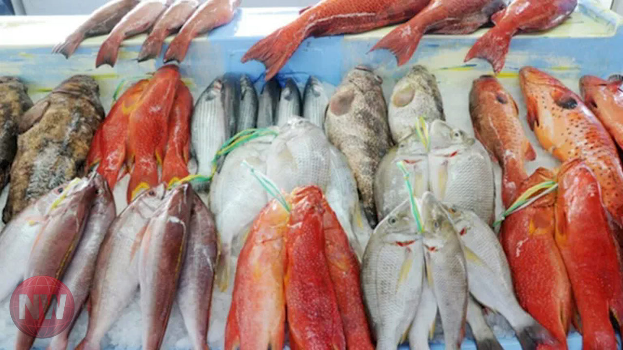 أسعار الأسماك في سوق العبور اليوم تشهد ارتفاعات متفاوتة